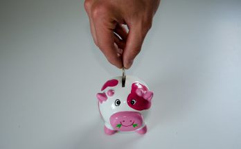 IRA piggy bank